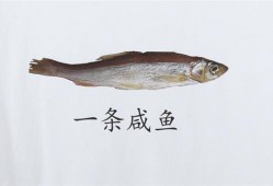 咸鱼带你吃瓜,揭秘娱乐圈那些事儿