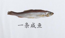 咸鱼带你吃瓜,揭秘娱乐圈那些事儿