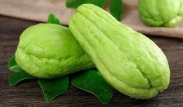 肥城吃瓜,探寻肥城特色美食之旅