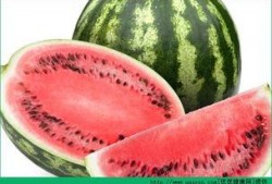 胃病可以吃瓜了吗,瓜果美食的回归之旅