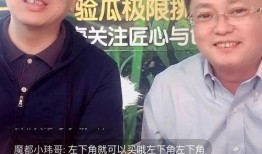 苯笨吃瓜直播,揭秘网红背后的真实生活