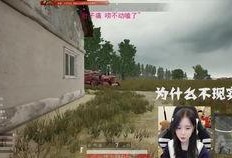 吃鸡主播吃瓜视频,揭秘游戏圈幕后风云