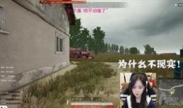 吃鸡主播吃瓜视频,揭秘游戏圈幕后风云