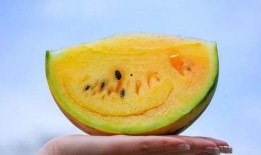 吃瓜只吃瓜呀是什么歌曲,揭秘流行歌曲背后的趣味故事