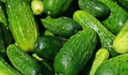 小绫吃瓜,揭秘娱乐圈幕后故事