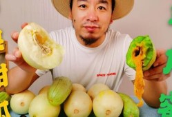 吃瓜大测评,揭秘热门瓜果的口感与营养秘密