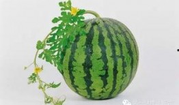 吃瓜症是什么,网络时代下的好奇心陷阱