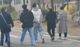 茂名网红吃瓜事件,揭秘网络舆论的风暴与真相