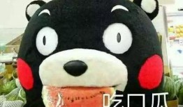 吃瓜的表达淡定,淡定看世界