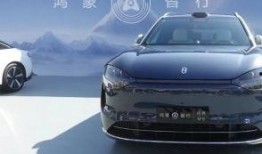 大迪成都吃瓜,揭秘网红美食背后的故事