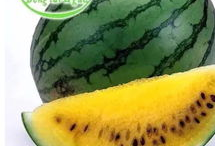 吃瓜请到背后吃,网络流行语的趣味解读