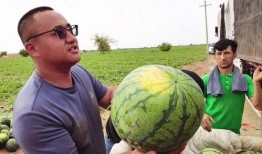 2022知乎吃瓜,盘点年度热门事件与幕后真相