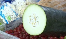 吃瓜解暑搞笑,解暑搞笑两不误